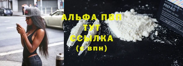прущие грибы Нефтегорск