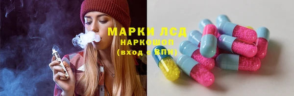 прущие грибы Нефтегорск
