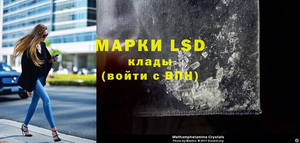прущие грибы Нефтегорск
