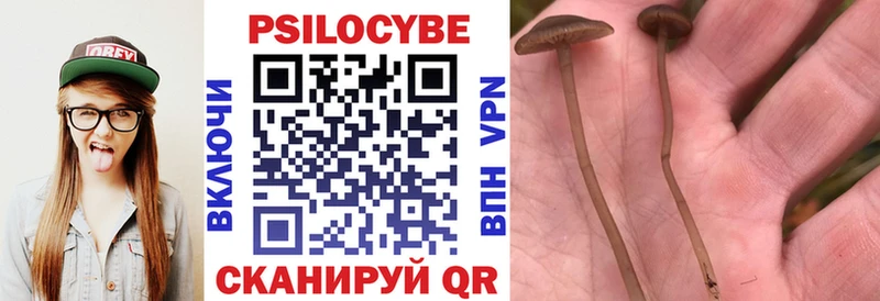 Псилоцибиновые грибы прущие грибы  Новое Девяткино 